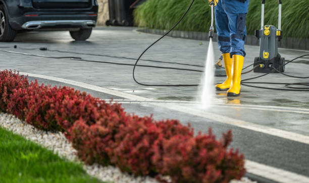 Best Sidewalk and Walkway Cleaning  in Cherryville, PA